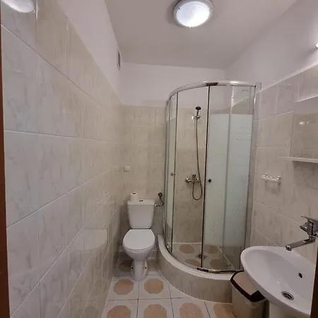 Bursztynowa Guest house *